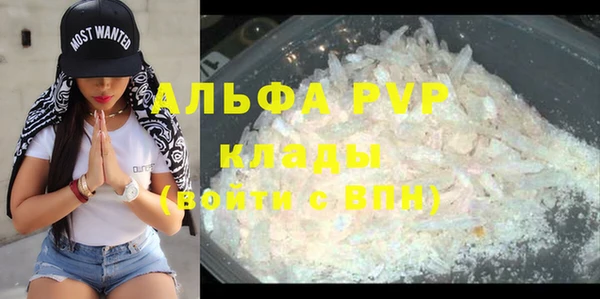 винт Алзамай