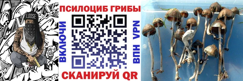 Псилоцибиновые грибы ЛСД  ОМГ ОМГ ссылка  Малаховка 
